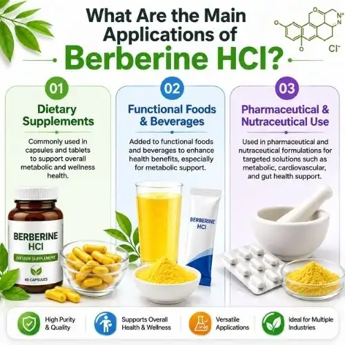 What Are the Main Applications of Berberine HCl?